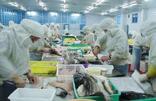 霞浦縣電商物流園即將投入使用,集辦公 倉(cāng)儲(chǔ) 快遞物流 互聯(lián)網(wǎng) 直播一體化